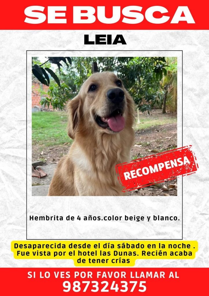 Die Kommentarfunktion wurde für diesen Beitrag deaktiviert.